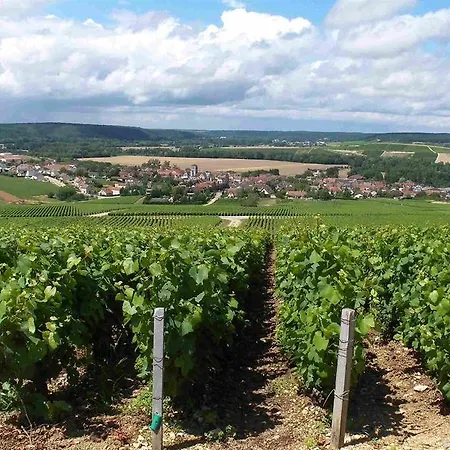 Szálloda Grand Les Trois Rois